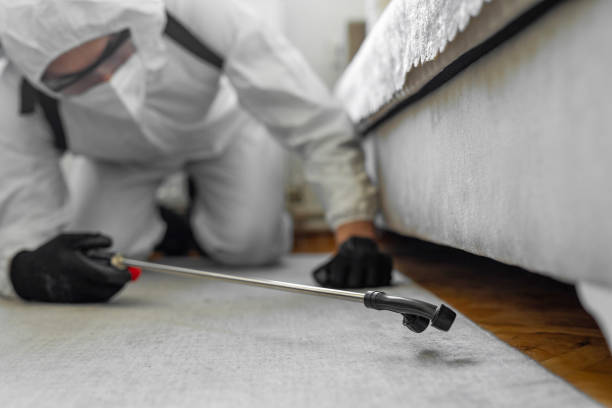Professional Bed Bug Control technician working in St. Landry Parish County, LA